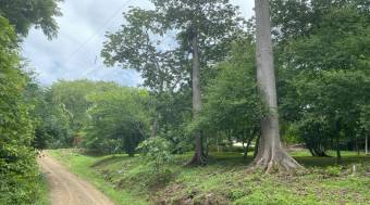 5000 m2 lot with all services in Santa Rosa, Guanacaste