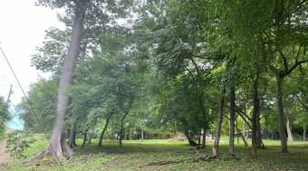 5000 m2 lot with all services in Santa Rosa, Guanacaste