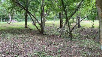 5000 m2 lot with all services in Santa Rosa, Guanacaste